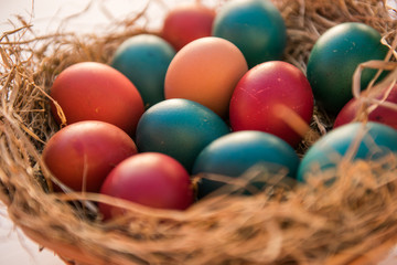 easter colorful eggs in a basket spring concept on a white background with room for text