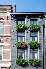 Fototapeta na wymiar grey house with geranium in Roermond, The Netherlands