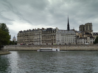 Fototapeta na wymiar panorama of Seine river in paris, historical building on embenkment, behind them towers of Notre Dame cathedral, cloudy sky, a bit posterized