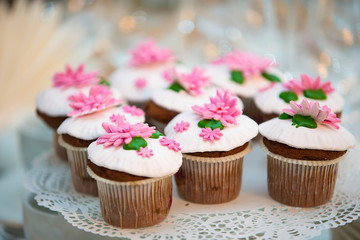 Cake for a buffet table. A group of small cupcakes decorated with pink cream flowers.