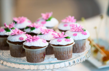 Cake for a buffet table. A group of small cupcakes decorated with pink cream flowers.