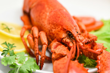 Lobster seafood delicious on white plate with lemon coriander and salad lettuce / Close up of steamed lobster food