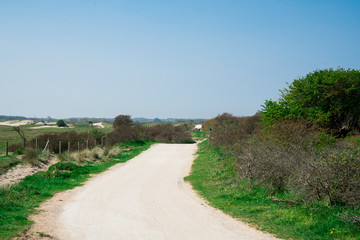 hiking path through dune landscape in Renesse, The Netherlands. Blue sky, space for text