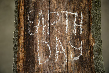 Tree with written text EARTH DAY