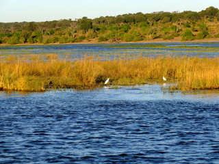 Botswana, Zambezi River, Africa, Safari & Cruise