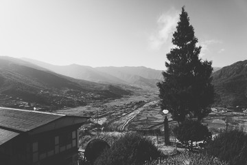 winter in the mountains, an artistic edit of image captured of Paro city nested in Himalayan valley in monochromatic and Christmas tree in silhouette  