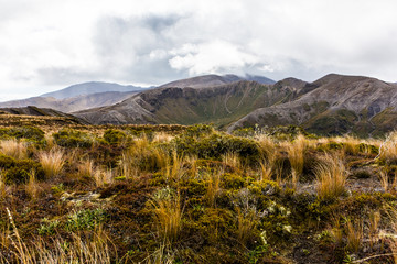 Northern Circuit, Tongariro National Park