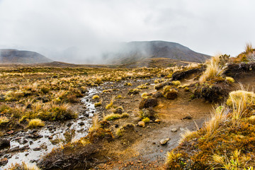 Northern Circuit, Tongariro National Park 