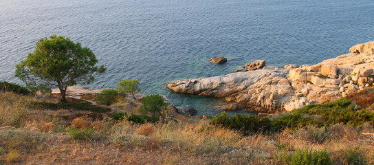 Near the sea,Corsica