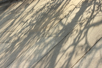 Dark shadows from trees on the cobbled sidewalk