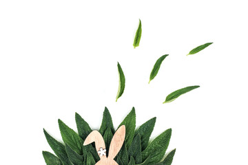 Bunny rabbit ears on green leaves background.