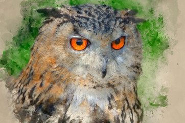 Watercolor painting of Superb close up of European Eagle Owl with bright orange eyes and excellent detail