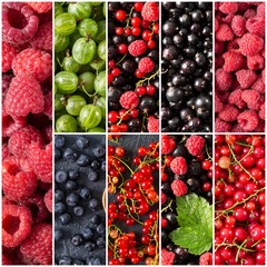 Colorful collage of different berries. Set of  berries.