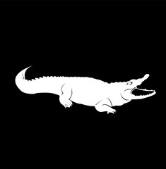 crocodile logo