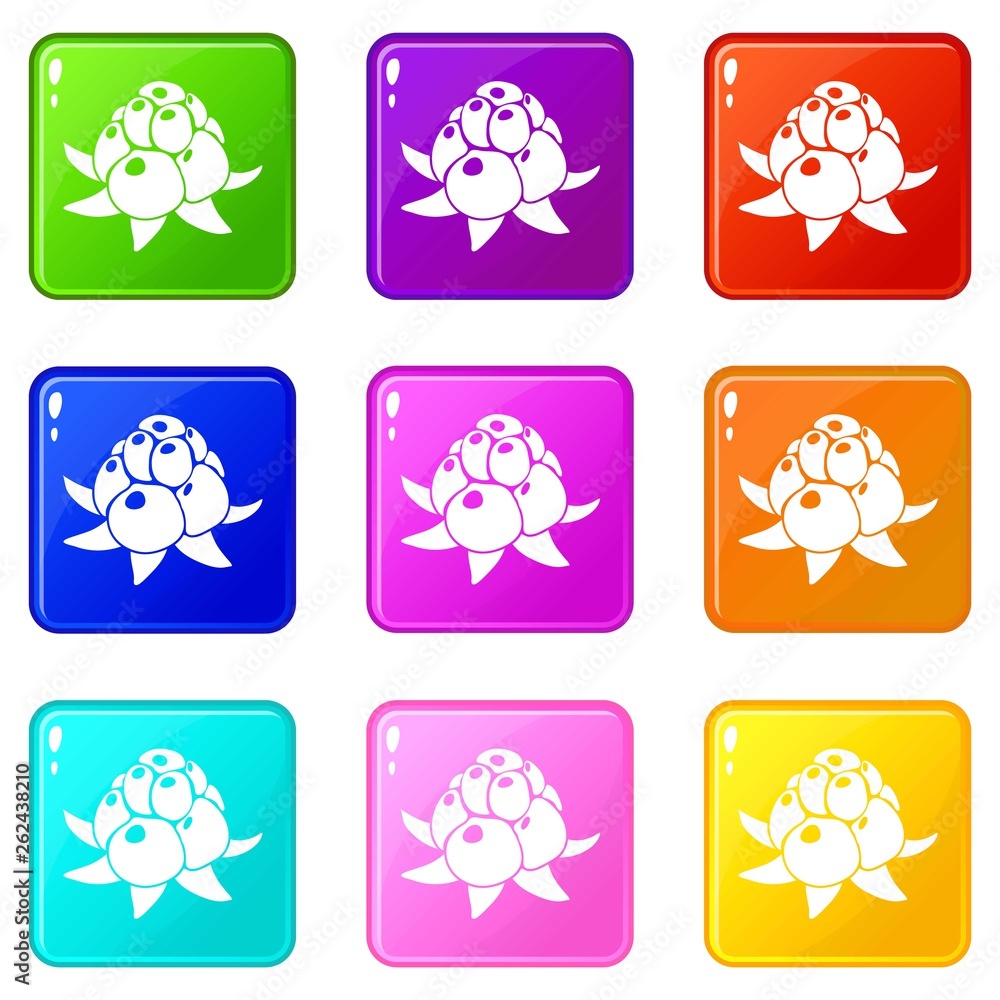 Poster wild raspberry icons set 9 color collection isolated on white for any design