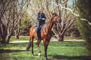 Rider elegant woman talking to her horse. Portrait of horse pure breed with woman. Equestrian horse with rider playpen for horses background 