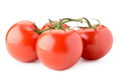 Red tomatoes on a branch close-up, on a white. Isolated.