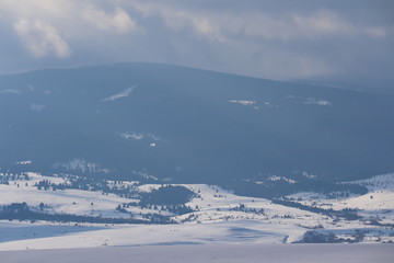 Fototapeta na wymiar Mountain winter landscape of snowed forest