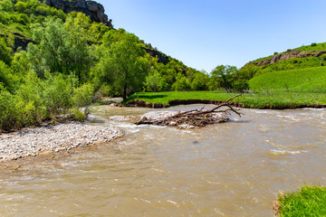 Shore in a mountain river in spring