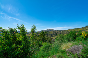 Obraz premium ロサンゼルス