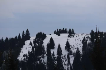 Foto op Plexiglas Mistig bos Berg winterlandschap van besneeuwd bos