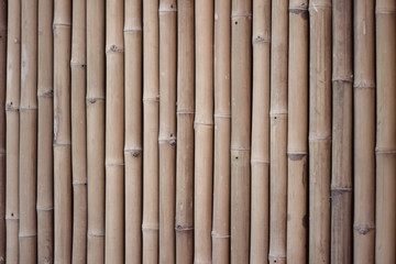 Bamboo texture background