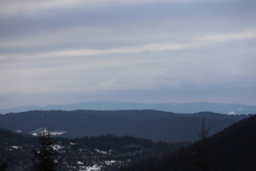 Mountain winter landscape of snowed forest