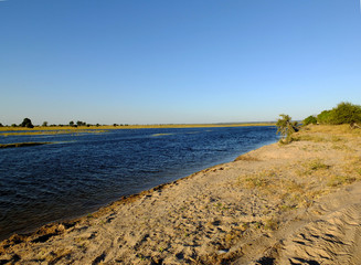 Botswana, Africa, Safari