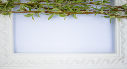 White frame with green willow branches on a white background. Copy space in the middle for your text.