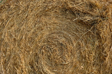 background of straw
