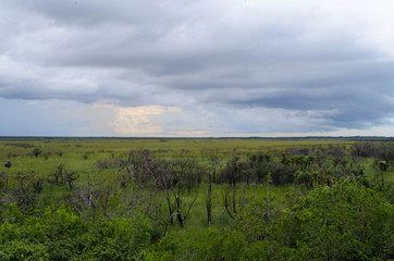 Obraz premium landscape with green field and cloudy sky