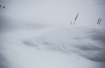 White snow lying in the forest. Frosty winter weather. Happy holidays and rest time.