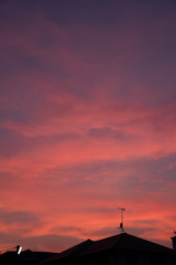 Fototapeta premium sunset