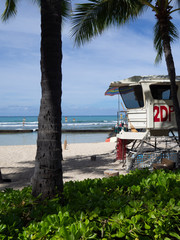 waikiki beach