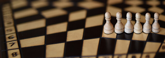 wooden chess set on chess Board