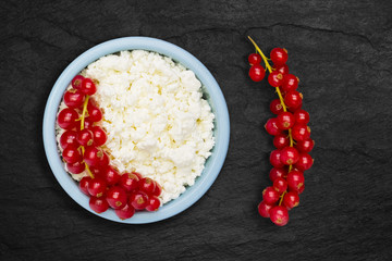 An overhead photo of fresh natural cottage cheese with red currant in a blue ceramic bowl on the black stone plate. Organic eco healthy meal, dairy product. Top view. Place for text, copyspace.