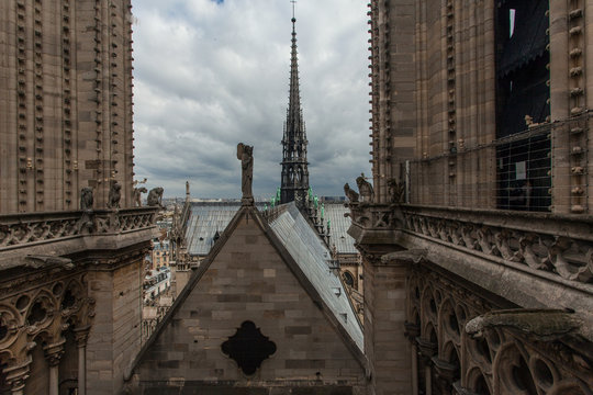 Notre Dame of Paris
