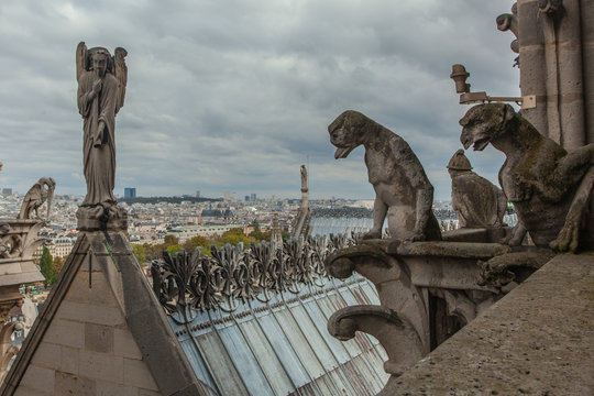 Famous Notre Dame Gargoyle Overlooking The Paris Cityscape