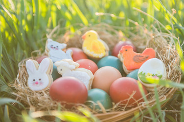 cute easter decoration and colorful painted easter eggs in a basket placed in a green grass with backlight spring concept