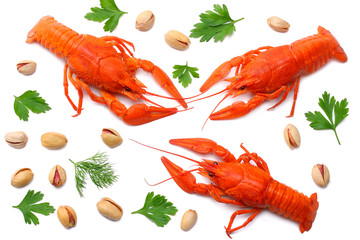 crawfish isolated on white background. Beer brewery concept. Beer background. top view
