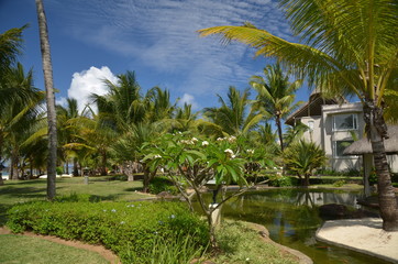 view of tropical resort