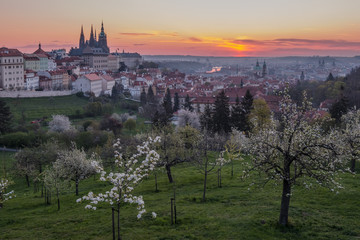 Obraz premium A beautiful spring view of Prague at sunrise from Petrin hill. Prague Castle and St. Vitus Cathedral on the left and a golden rising sun in the background