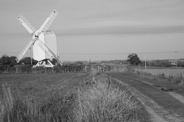 windmill in the field