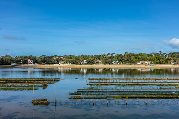 Parc à huitres dans les landes