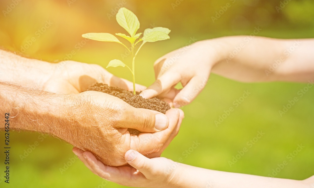 Poster Family holding young green plant in hands. Ecology concept