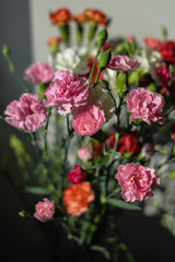 Bouquet d'oeillets au soleil