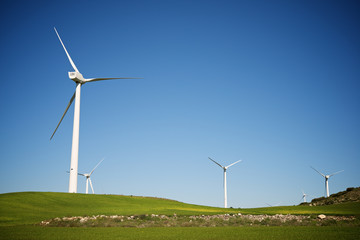 Fototapeta premium Wind energy concept