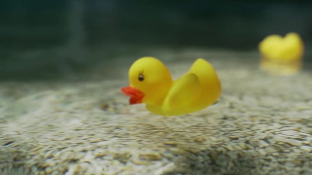 Beautiful shot of yellow plastic duck floating in blue water of swimming pool - video in slow motion