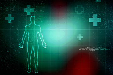 2d illustration Human Male Muscle Body