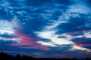 Fototapeta na wymiar Sunset and tree silhouettes
